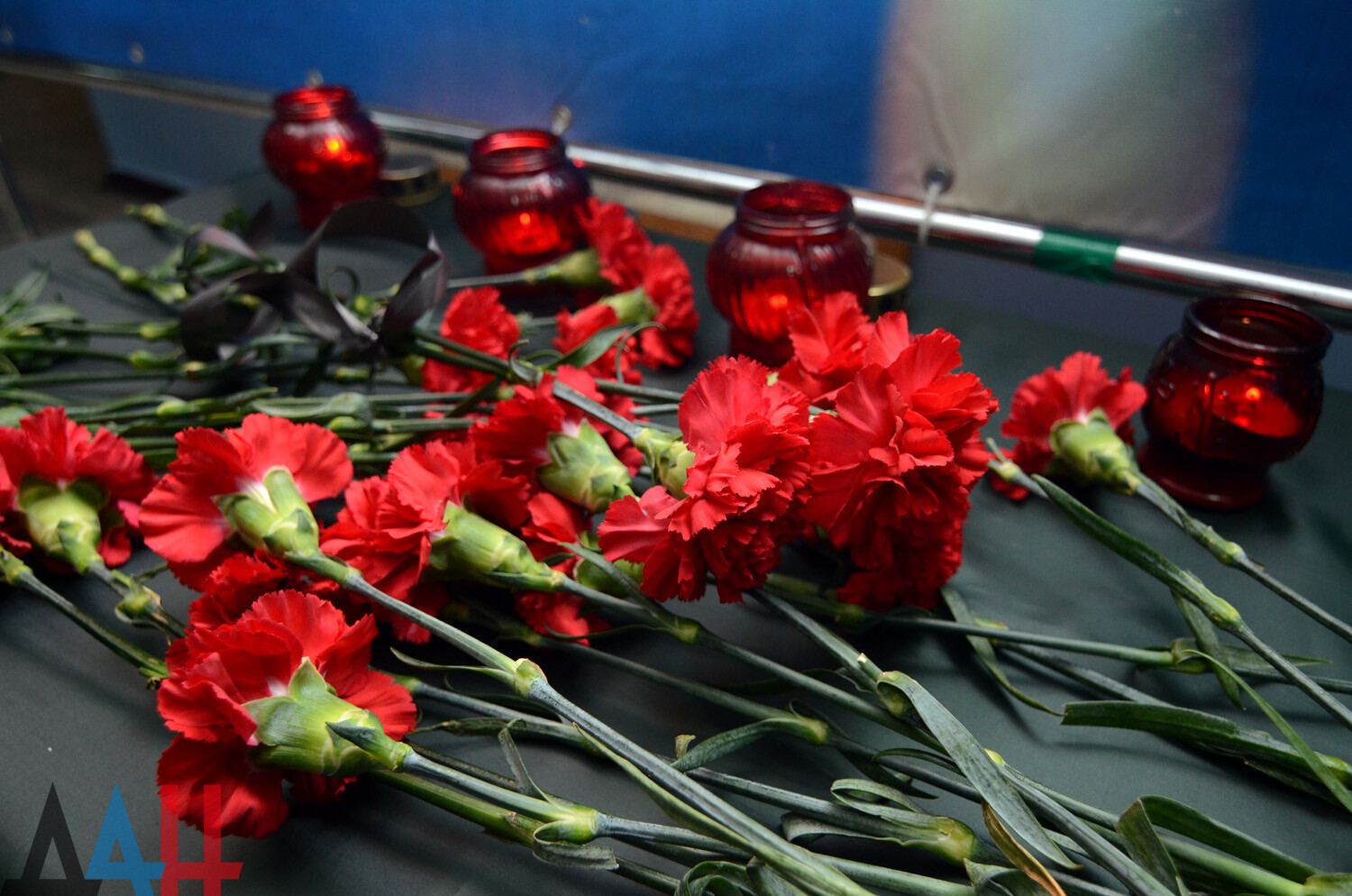 Чем важен международный день памяти жертв