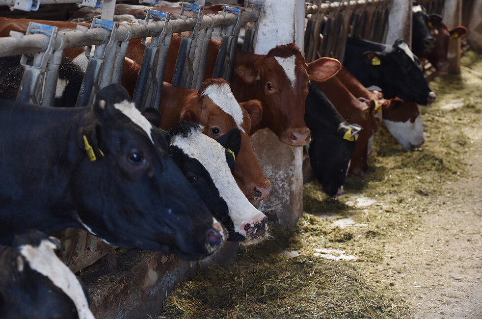 Фото: Администрация Главы ДНР