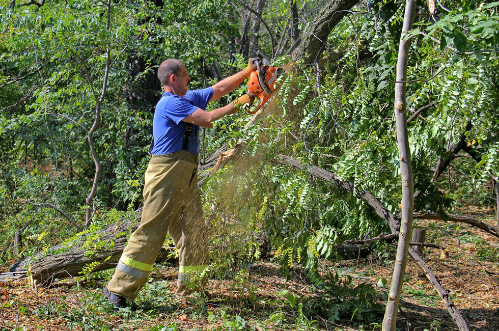 Фото: МЧС ДНР