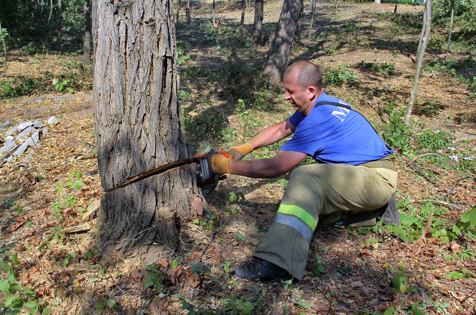 Фото: МЧС ДНР