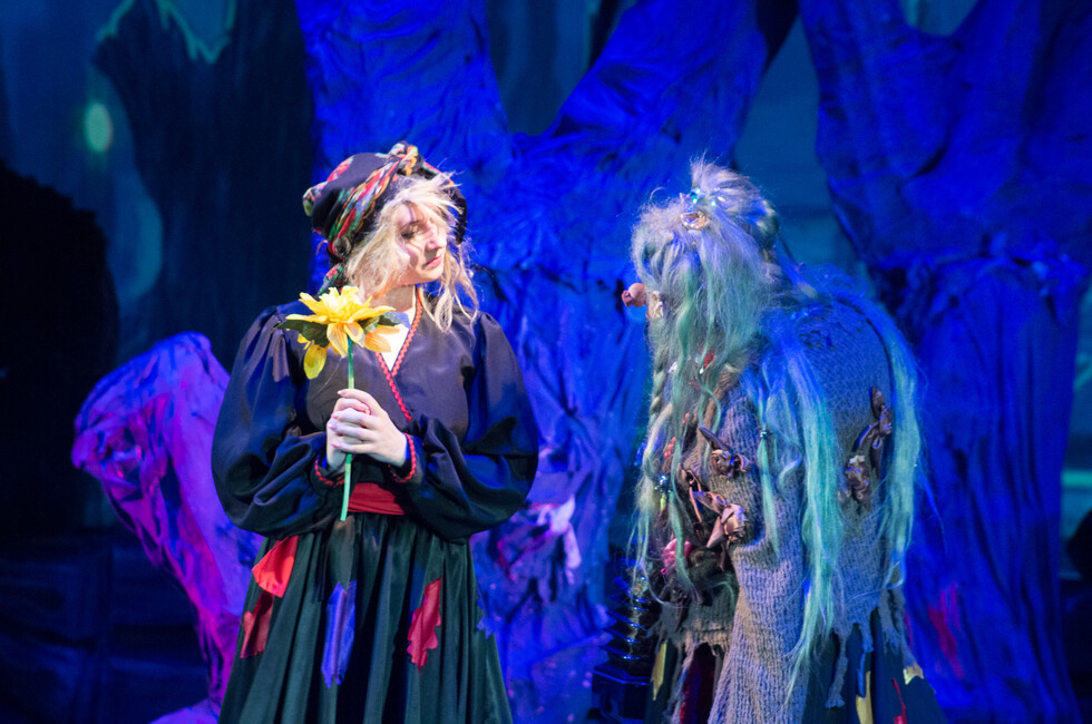 Фото: Донецкая муздрама