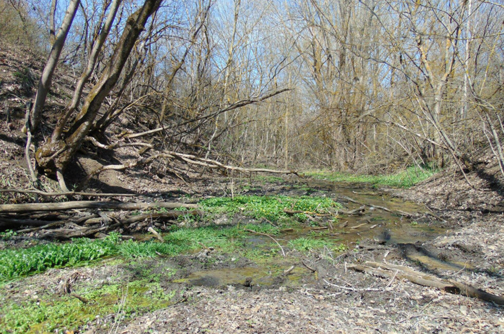 Государственный природный заказник местного значения «Балка Казенная»