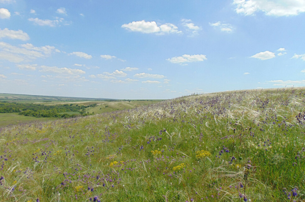 Государственный природный заказник местного значения «Балка Широкая»