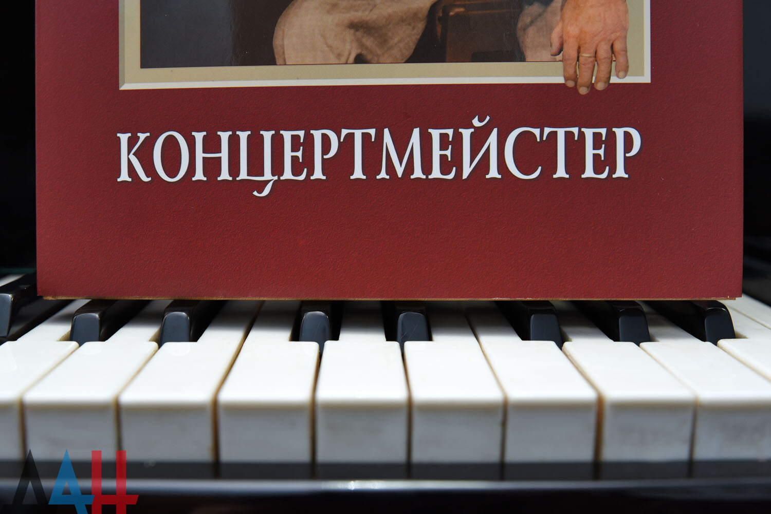 Был инвалидом, стал маэстро: Как сделал карьеру один из самых  примечательных жителей Донецка - Статьи - ДАН