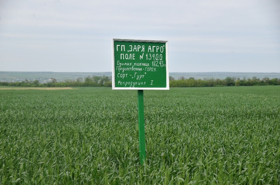 Фото: Администрация Главы ДНР