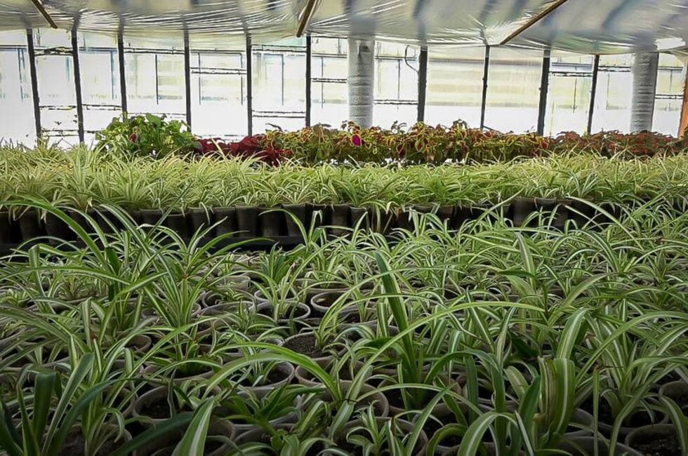 Фото: Администрация Донецка