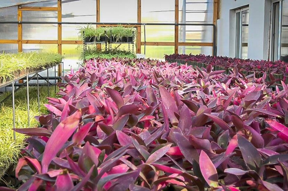 Фото: Администрация Донецка