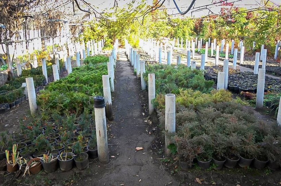 Фото: Администрация Донецка