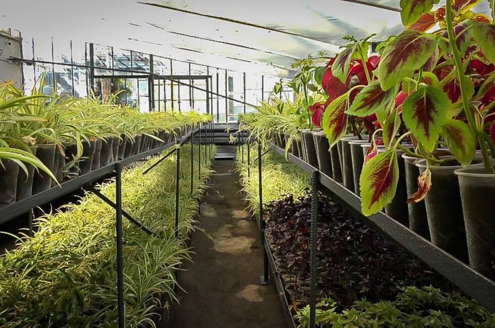 Фото: Администрация Донецка