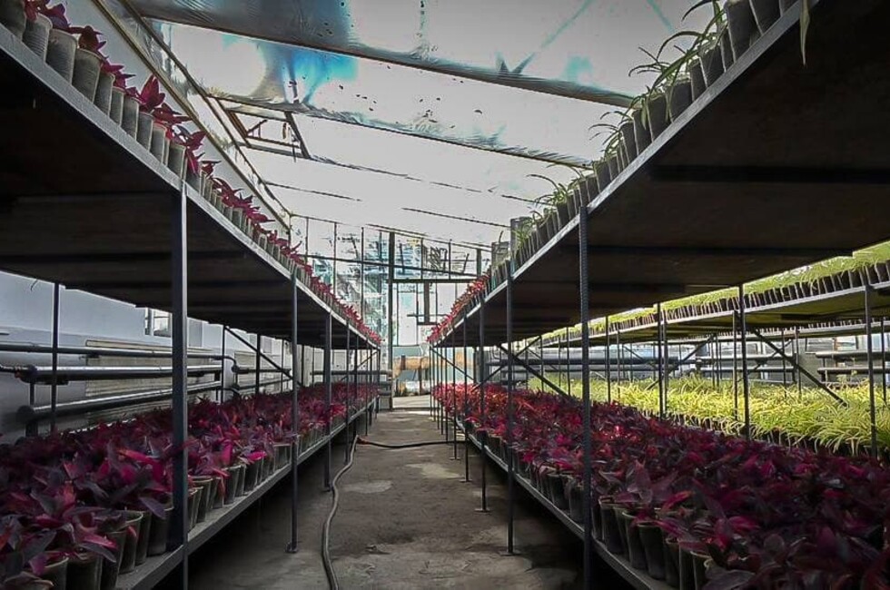 Фото: Администрация Донецка