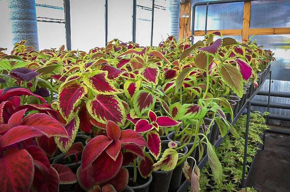 Фото: Администрация Донецка