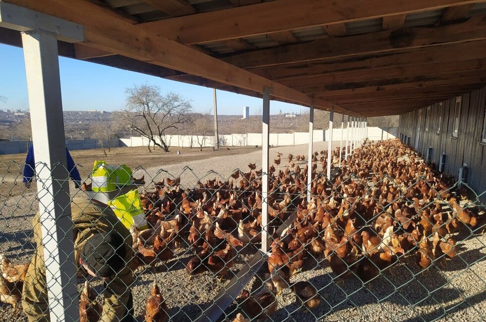 Фото: Администрация Ясиноватой