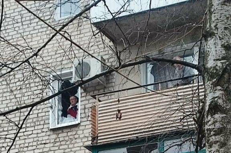 Фото: телеграм-канал Ивана Приходько