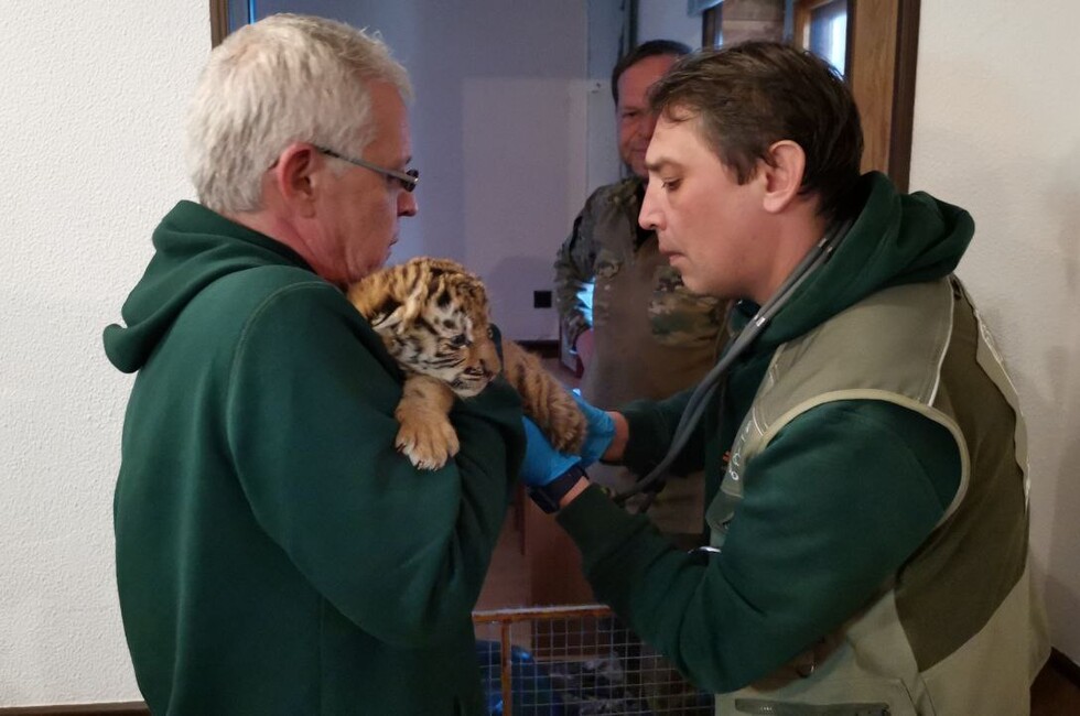 Фото: Народный фронт / Московский зоопарк