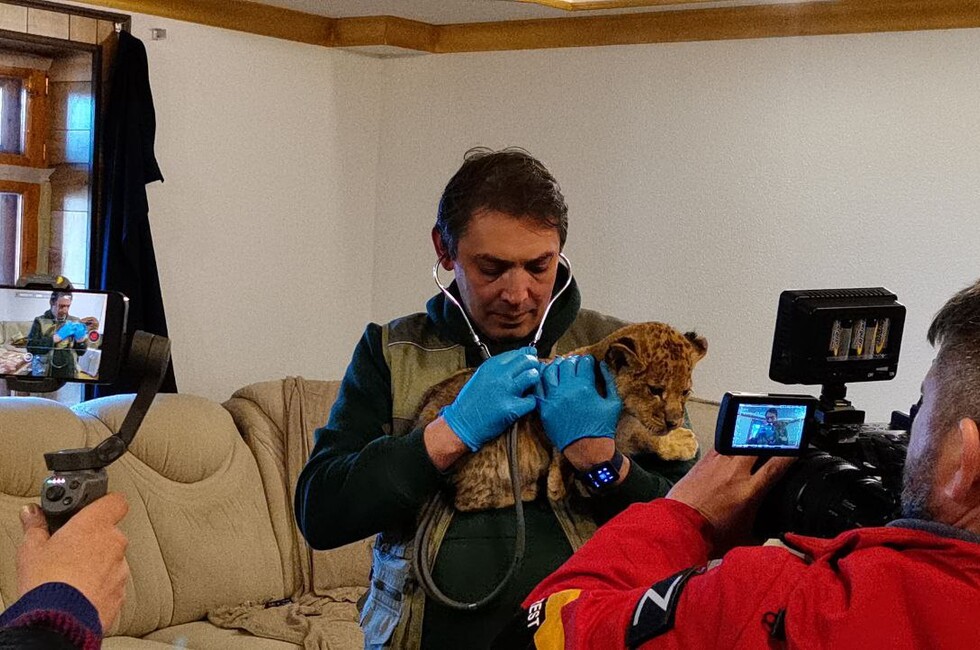 Фото: Народный фронт / Московский зоопарк