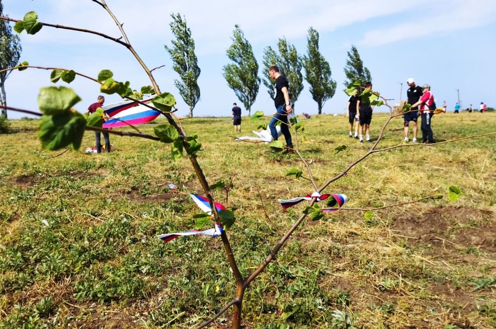 Высадка дубов на Саур-Могиле