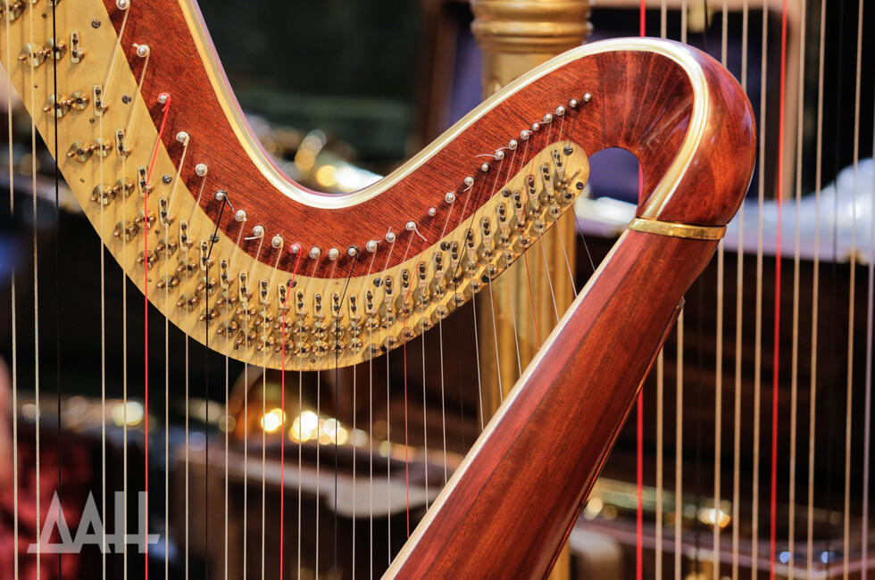 Фото: Донецкое агентство новостей