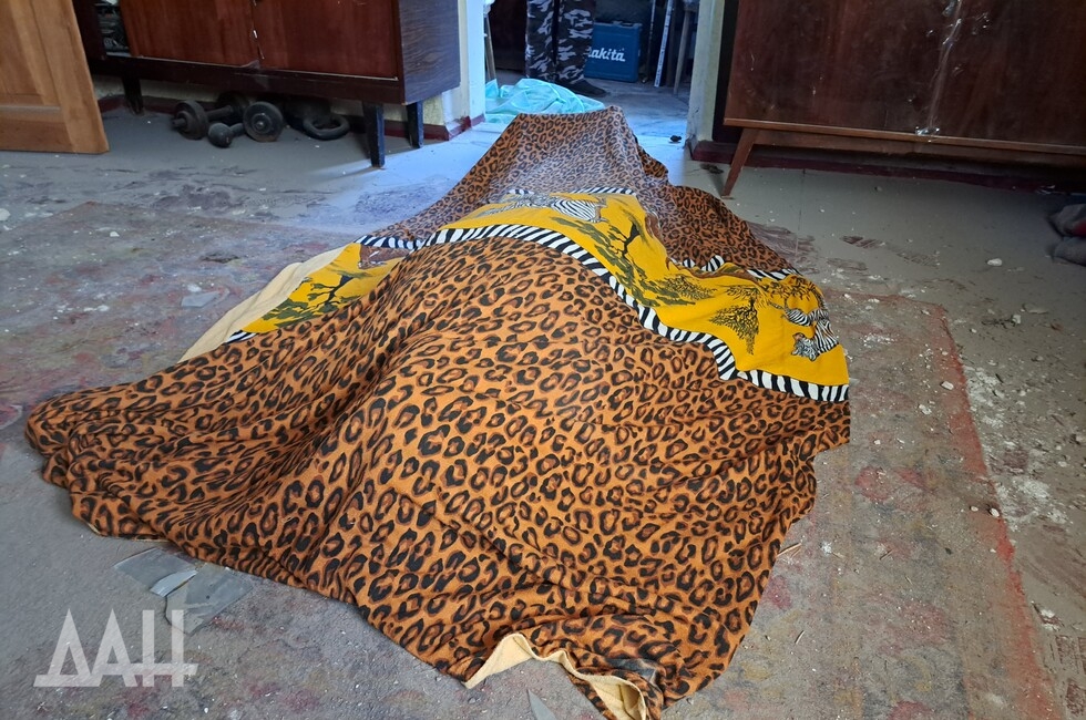 Фото: Донецкое агентство новостей