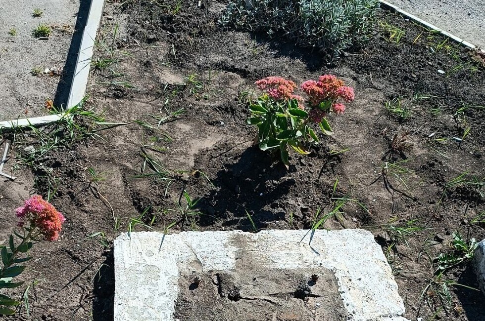 Фото из телеграм-канала Руслана Дудникова