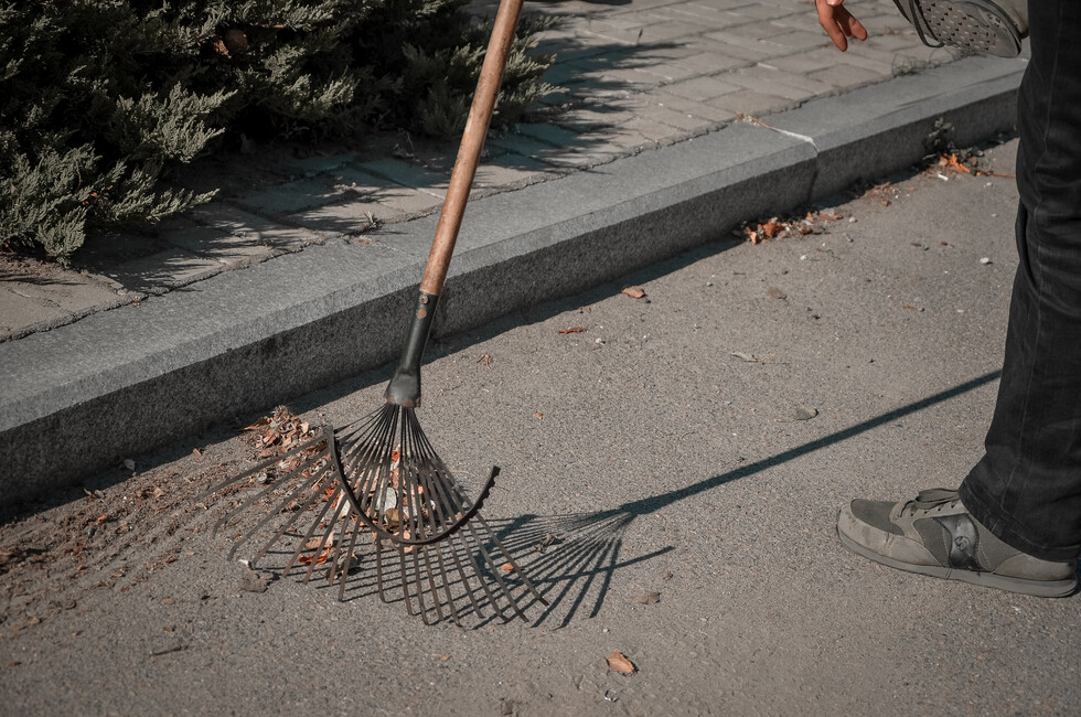 Фото: пресс-служба регионального штаба Всероссийской акции