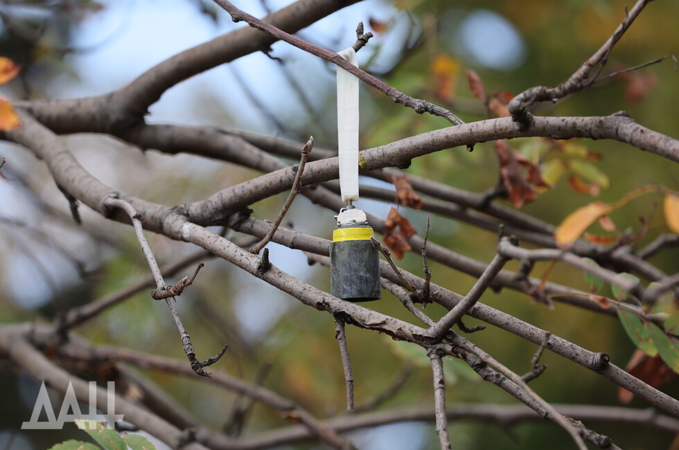 Фото: Донецкое агентство новостей