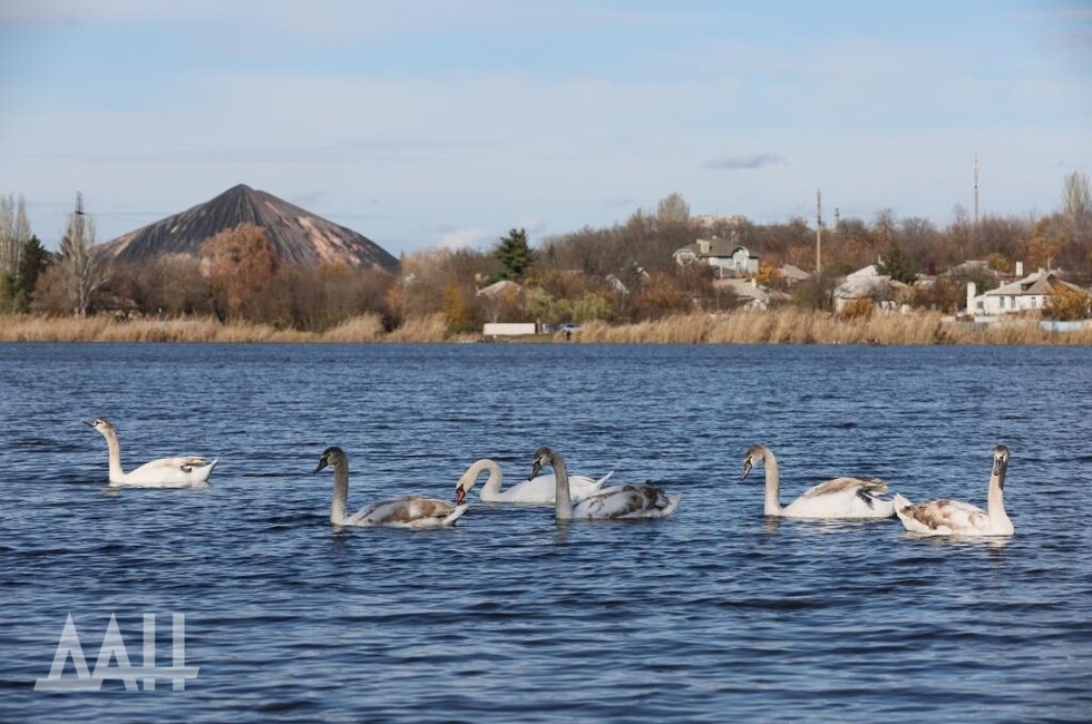 Фото: Донецкое агентство новостей