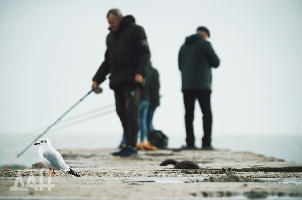 Фото: Донецкое агентство новостей