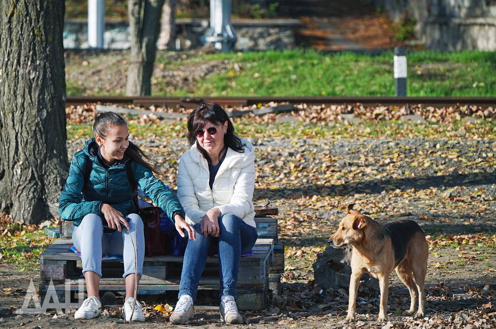 Фото: Донецкое агентство новостей