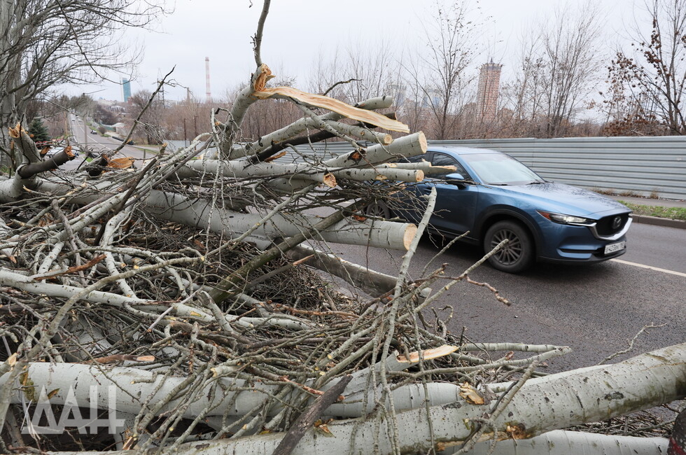 Фото: Донецкое агентство новостей