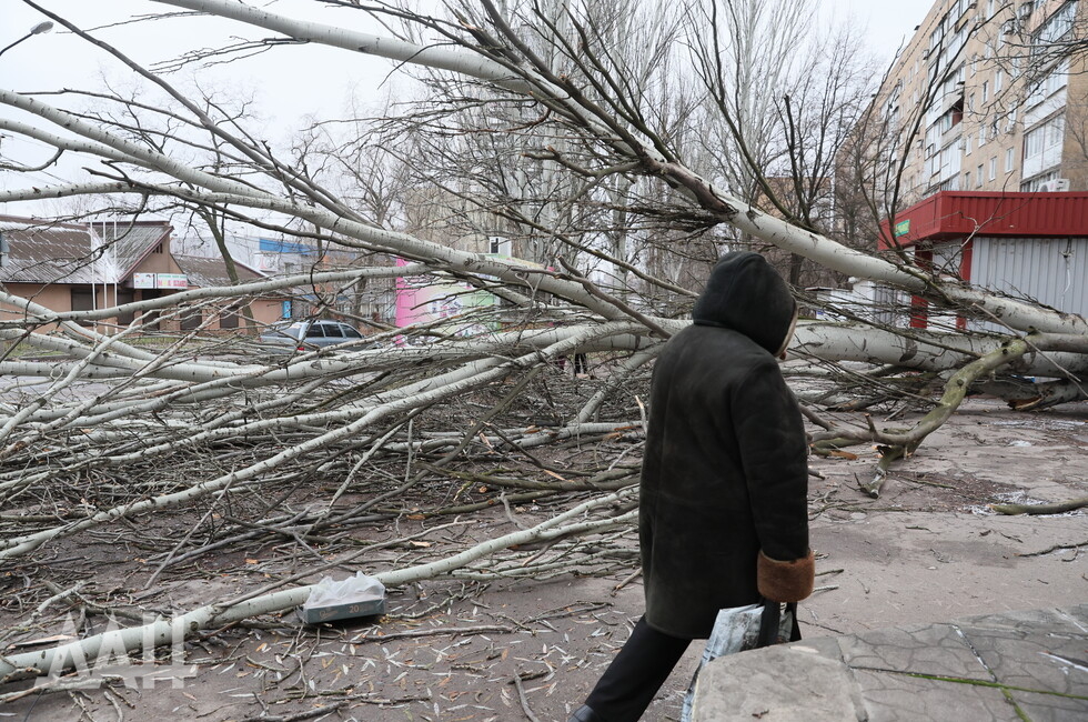 Фото: Донецкое агентство новостей
