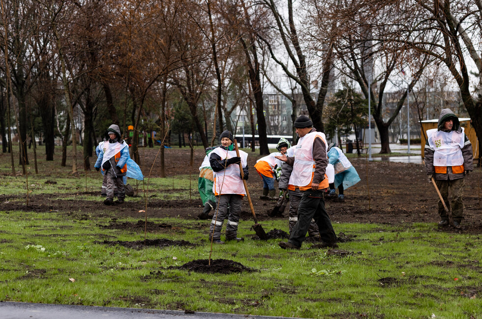 Фото: АНО «Сад памяти»