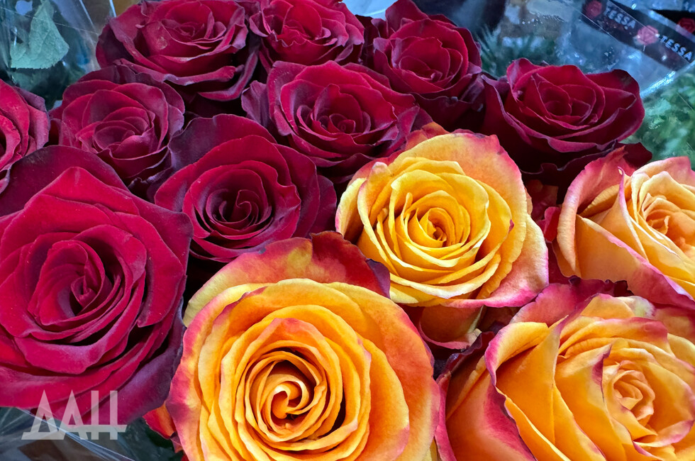  Фото: Донецкое агентство новостей