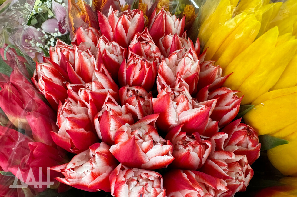  Фото: Донецкое агентство новостей