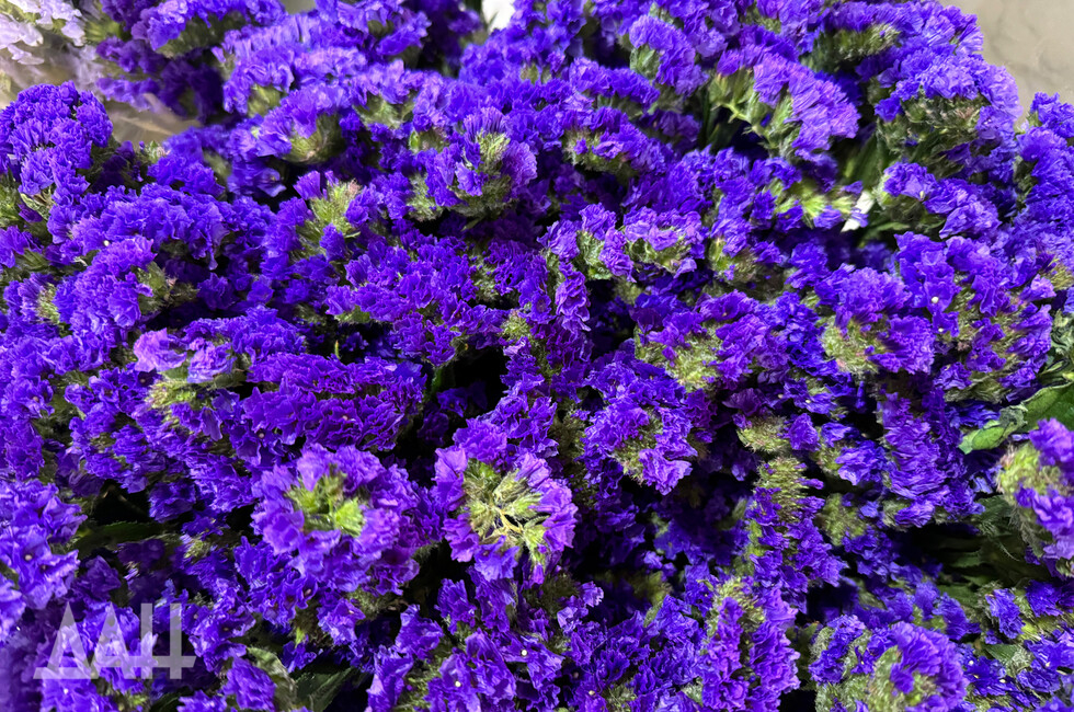  Фото: Донецкое агентство новостей