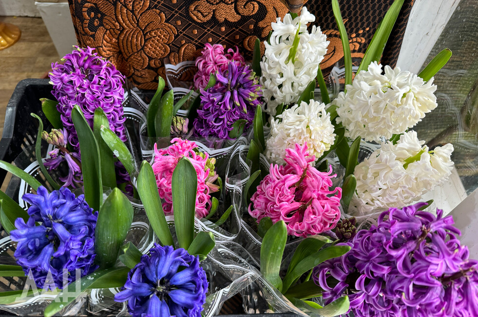  Фото: Донецкое агентство новостей