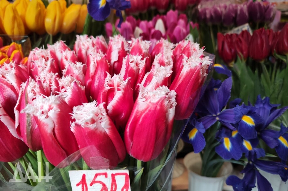 Фото: Донецкое агентство новостей