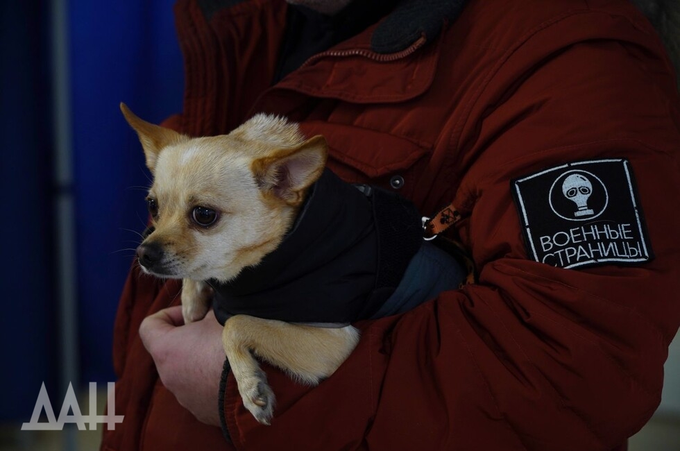 Фото: Донецкое агентство новостей
