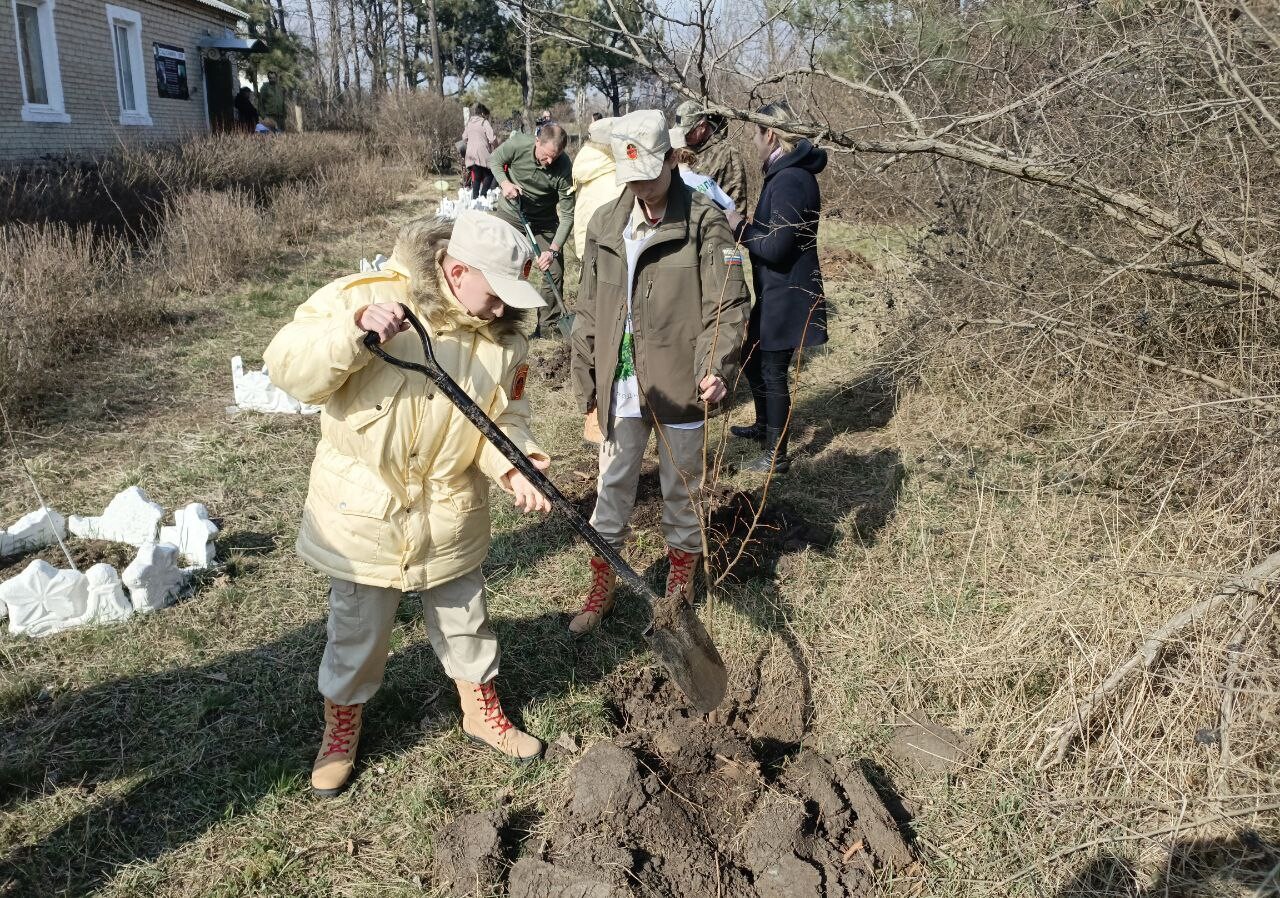 Сад памяти» в честь погибших защитников ДНР появился в шахтерском  лесничестве - Общество - ДАН