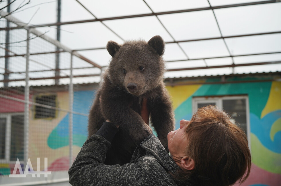 Фото: Донецкое агентство новостей