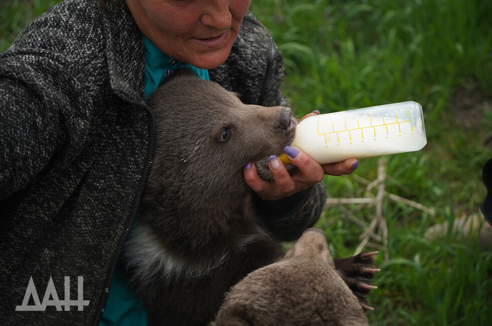 Фото: Донецкое агентство новостей