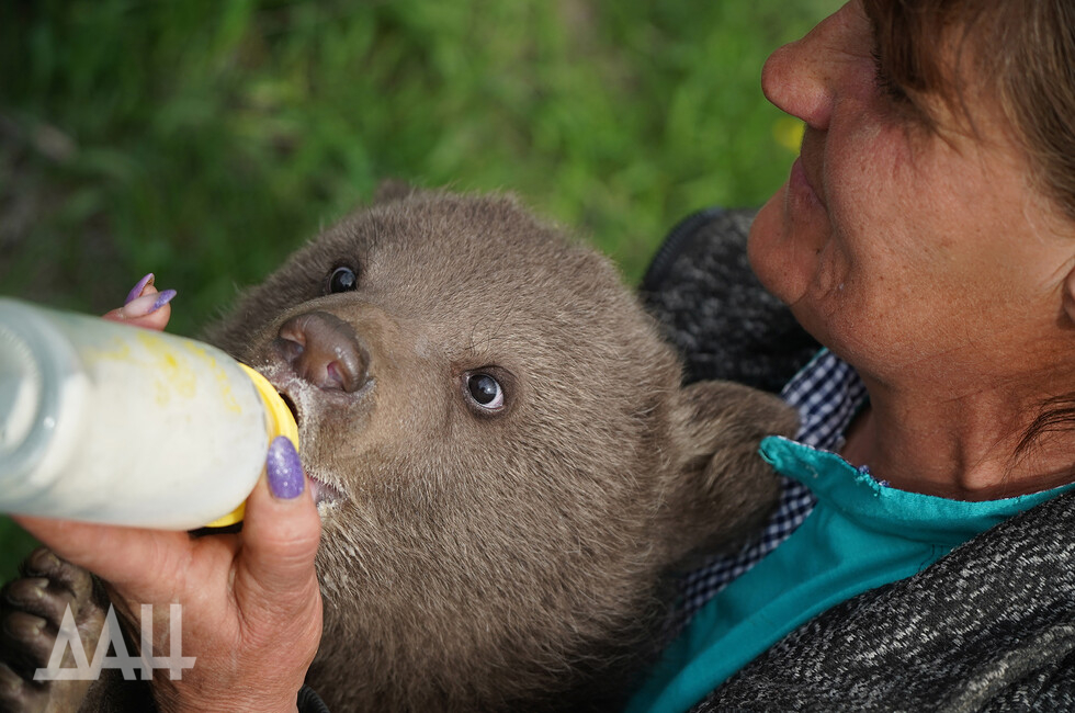 Фото: Донецкое агентство новостей