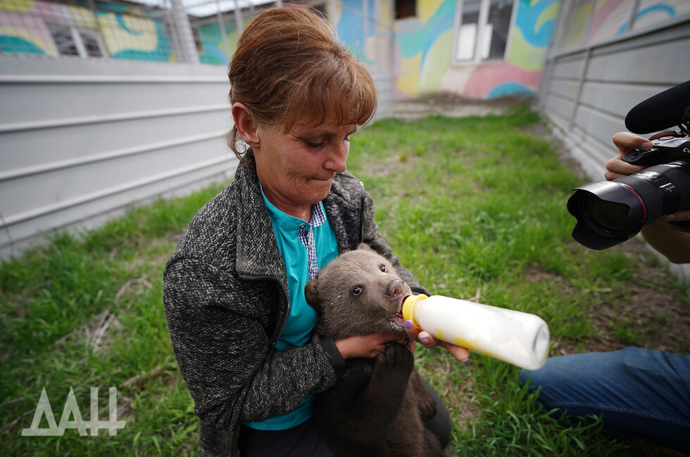 Фото: Донецкое агентство новостей
