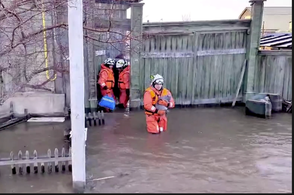 Скиншот: Официальный Тг-канал МЧС РФ