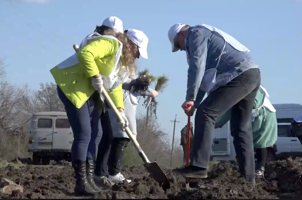 Скриншот: Официальный ТГ-канал главы ДНР Дениса Пушилина