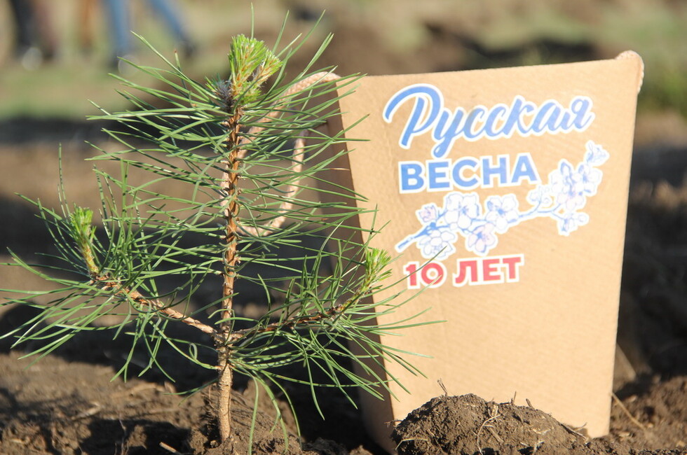 Фото: официальный сайт Главы ДНР Дениса Пушилина