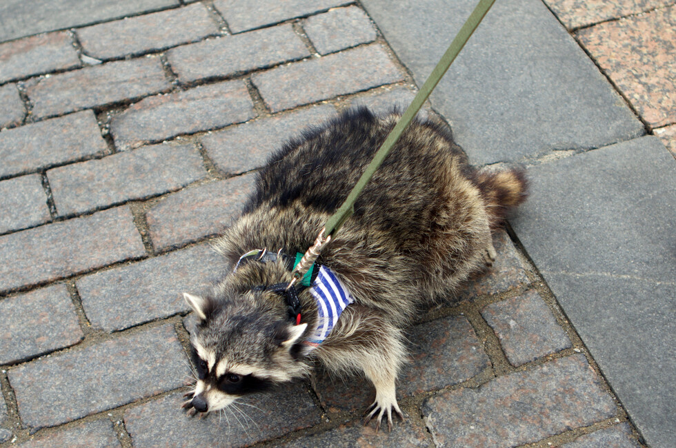 Фото: Херсонское агентство новостей