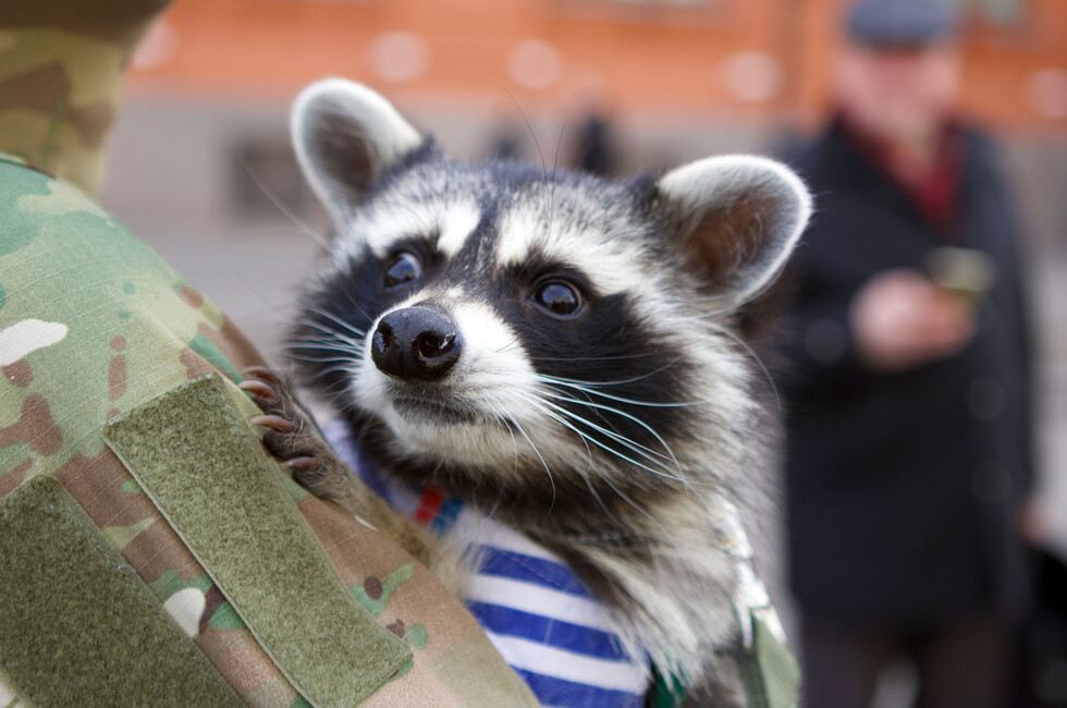 Фото: Херсонское агентство новостей