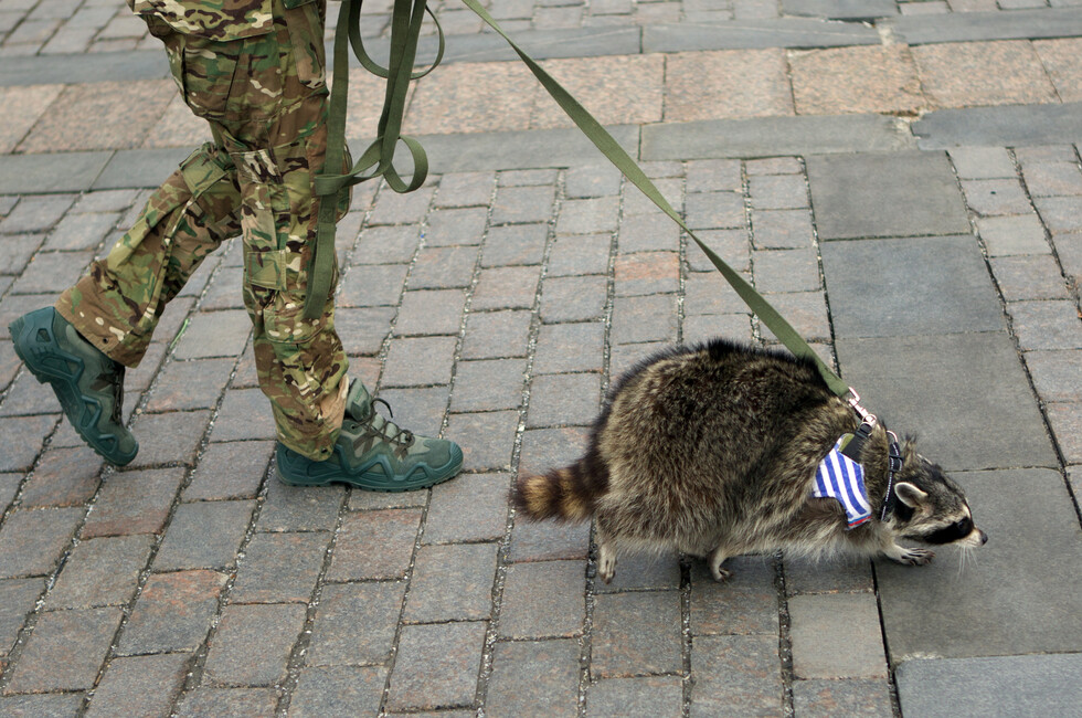 Фото: Херсонское агентство новостей