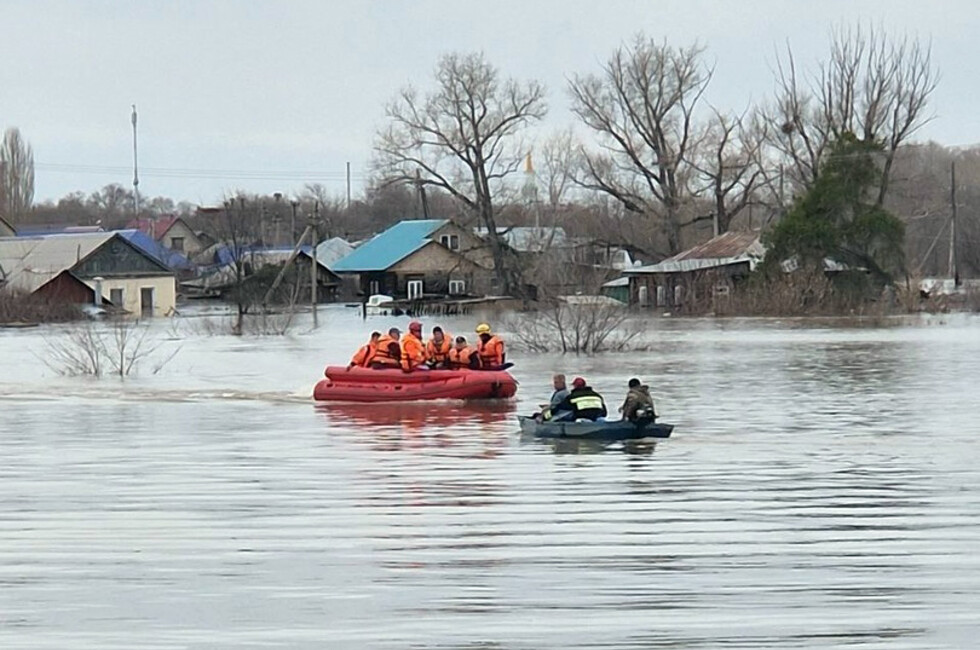 Фото: Страница "Кошкин Дом Донецк" в ВК