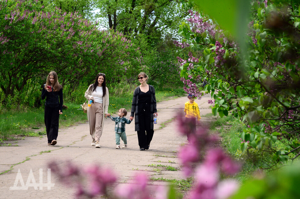 Фото: Донецкое агентство новостей